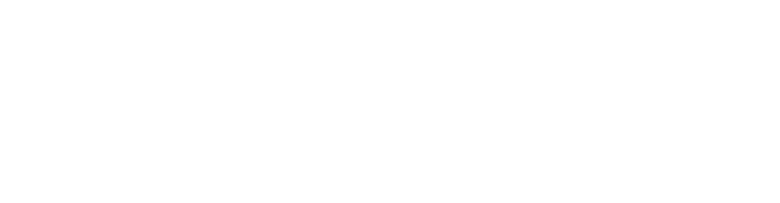 Fortune Feature logo